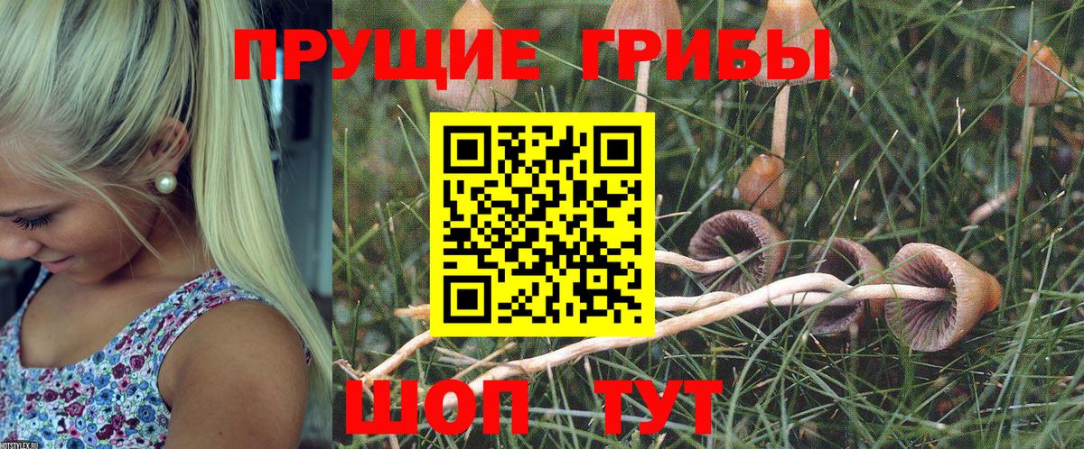 Галлюциногенные грибы прущие грибы  Вход с VPN  Ачхой-Мартан 